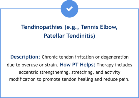 Tendinopathies (e.g., Tennis Elbow, Patellar Tendinitis)  Description: Chronic tendon irritation or degeneration due to overuse or strain. How PT Helps: Therapy includes eccentric strengthening, stretching, and activity modification to promote tendon healing and reduce pain.