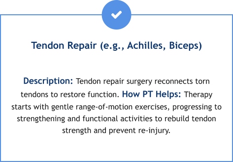 Tendon Repair (e.g., Achilles, Biceps)  Description: Tendon repair surgery reconnects torn tendons to restore function. How PT Helps: Therapy starts with gentle range-of-motion exercises, progressing to strengthening and functional activities to rebuild tendon strength and prevent re-injury.