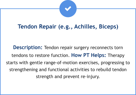 Tendon Repair (e.g., Achilles, Biceps)  Description: Tendon repair surgery reconnects torn tendons to restore function. How PT Helps: Therapy starts with gentle range-of-motion exercises, progressing to strengthening and functional activities to rebuild tendon strength and prevent re-injury.